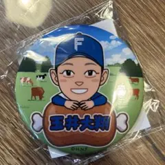 玉井大翔 缶バッジ　ガチャ