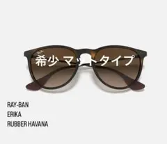 Ray-Ban Erika Rubber サングラス　エリカ　レイバン