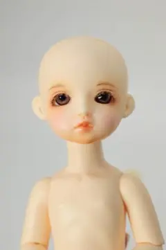 ROSEN LIED　火曜子　幼SDサイズ　本体　グラスアイ ROSEN LIED 火曜子 本体＋洋服＋グラスアイ＋ウィッグ2種 幼SD