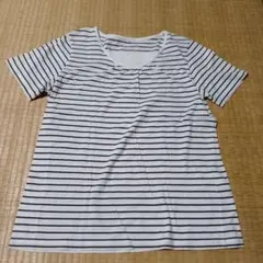 ストライプ 半袖Tシャツ