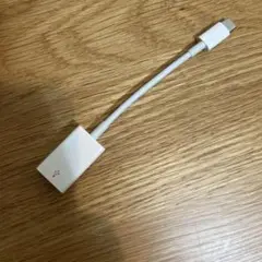 Apple 純正 USB-C - USBアダプタ ケーブル a1632