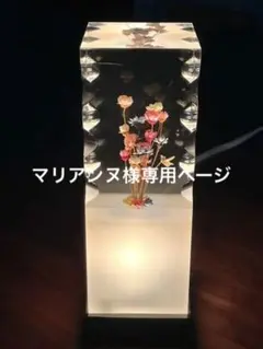 希少品 ドライフラワー 水中花 ルームライト 昭和アンティーク