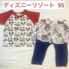 ディズニー セット売り 95 ミッキー ミニー Tシャツ スカッツ 公式