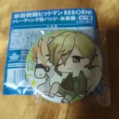 家庭教師ヒットマンREBORN!未来編缶バッジディーノ