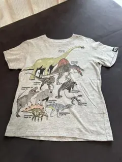 UNIQLO 恐竜イラストTシャツ　120