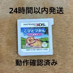 3DS こびとづかん こびと観察セット