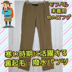 Item thumbnail for item fd1f78ab-67be-4bb9-bebb-b8bc6a0fad3c