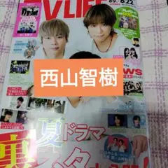 西山智樹　TVLIFE8/22号　切り抜き