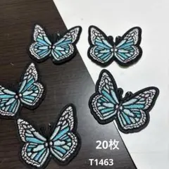 蝶々　モチーフ20枚