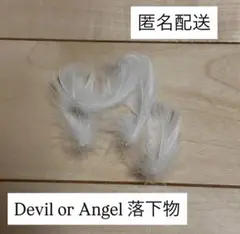 なにわ男子 ボンボンボヤージュ　devil or Angel 落下物　羽