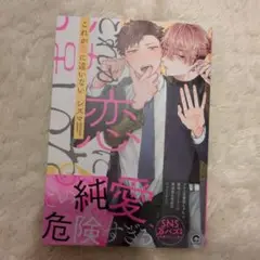 これが恋に違いない