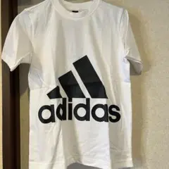 Item thumbnail for item 6bfed2f5-fd07-4162-a0ab-297736288778