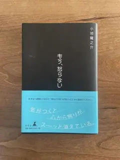 もう、怒らない　小池龍之介