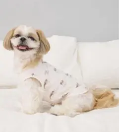 Item thumbnail for item 8b4f8cb9-30c6-463a-aac7-8107915c80b9