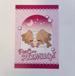 ぷちきゅあPOP UP SHOP ランダムポストカード こむぎ