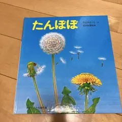 たんぽぽ