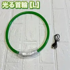 Item thumbnail for item aca94322-aa4b-4d45-aa23-8b8b302c671e