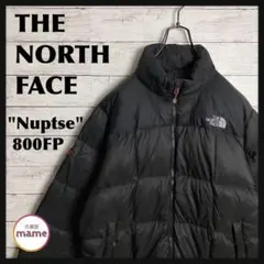 【激レア‼︎】THE NORTH FACE☆サミット ダウンジャケット 848