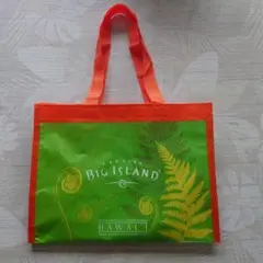 Hawaii ビッグアイランド キャンディズ ショッパー 美品！