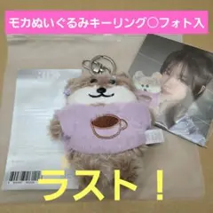 2025年最新】Illit モカ ぬいぐるみの人気アイテム - メルカリ