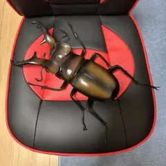 新品　フィギュア　MEGAノコギリオオクワガタ