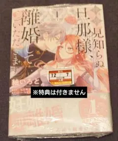 拝啓見知らぬ旦那様、離婚していただきます = To My Unfamiliar…