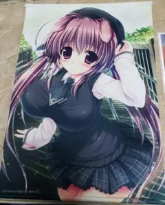 カミカゼ☆エクスプローラー 美汐タペストリー 卯花ぽちこ 鏑木かんら 2025年最新】chupa cavla タペストリーの人気アイテム - メルカリ