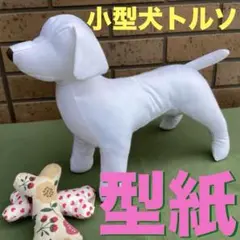 【新登場】a73110 型紙　小型犬4　トルソー　骨型付き