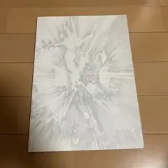 シン・エヴァンゲリオン劇場版 パンフレット