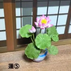 ミニチュア　蓮⑤