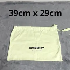 Item thumbnail for item dc5dd189-ae25-4db9-b1a8-f4fcf9f0e105