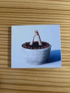 あいみょん　マリーゴールド　CD