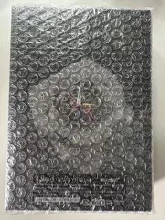 Land of Promise DVD 未開封