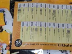 ソフトバンクホークス 20周年 タイトルホルダータオル 未開封