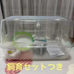 Item thumbnail for item 336d3009-1d11-45d1-a030-4b6a283030ea