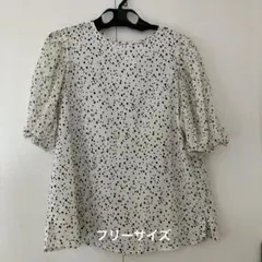 Item thumbnail for item e0f218ad-3a68-4984-a93a-4cda77ddbbff