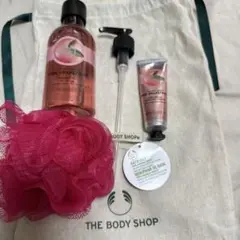 Item thumbnail for item 8f4ef9e8-6921-4113-9079-95cd5ee2bc82