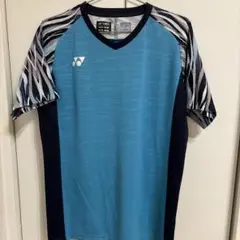 Item thumbnail for item d8183eee-e866-4fd2-b90b-18fa89f54230