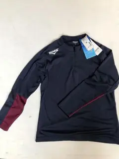 Item thumbnail for item 79c2cebd-0da5-4005-8a8a-cc35ee5d5193