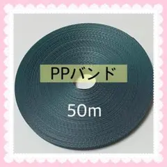 【S619】青緑系PPバンド 50m