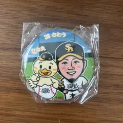 ひな丸缶バ 佐藤直樹