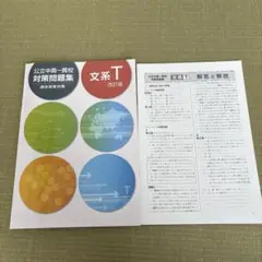 公立中高一貫校対策問題集 文系T 改訂版　適性検査対策