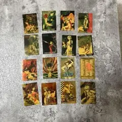 新世紀エヴァンゲリオンカード　16枚セット。