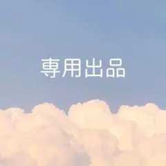 専用
