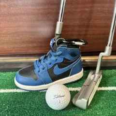 【黒×青】NIKE JORDAN1 パターカバー ジョーダン1 桜木花道モデル