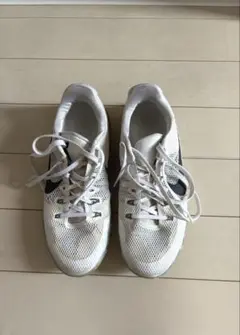 Item thumbnail for item b83e0e15-a7e7-404c-8da2-0cccf51a3d8d