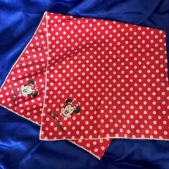 東京ディズニーランド　ミニーマウス ミニーちゃん 水玉 テーブルクロス