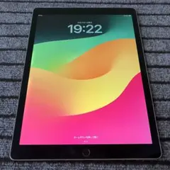 66 【早い者勝ち】 iPad Pro 12.9 2世代 64GB グレイ