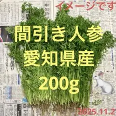 Item thumbnail for item 1d3b4c59-d004-40ee-804b-551e824d490a