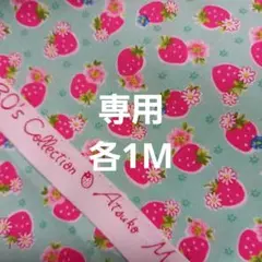 専用生地
